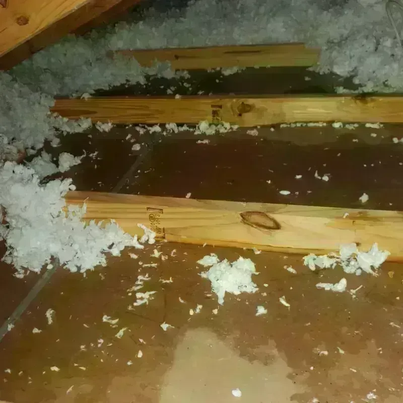 Attic Water Damage in Santa Barbara County, CA