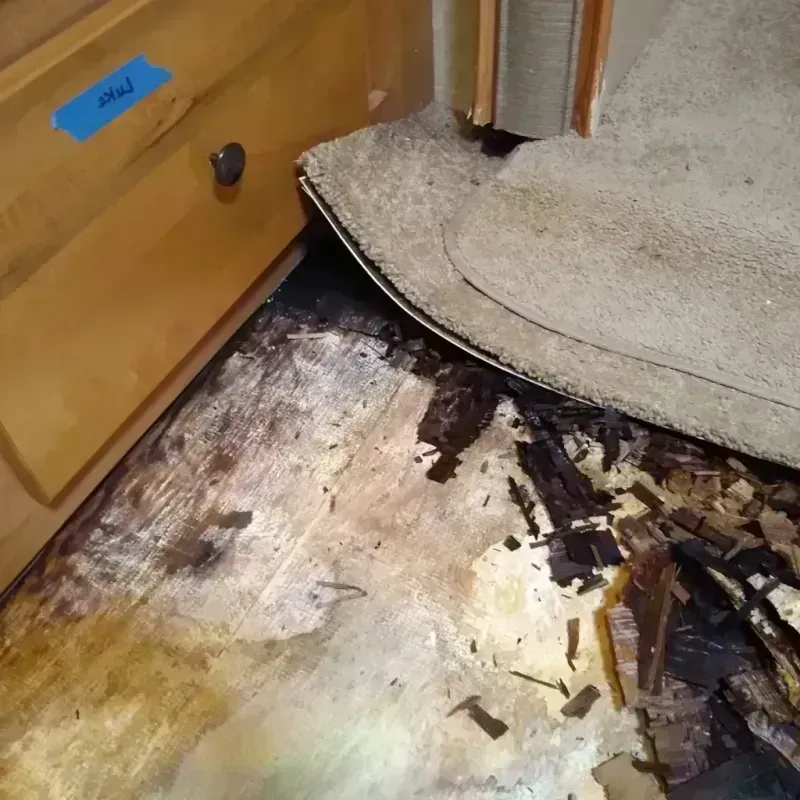 Wood Floor Water Damage in Santa Barbara County, CA